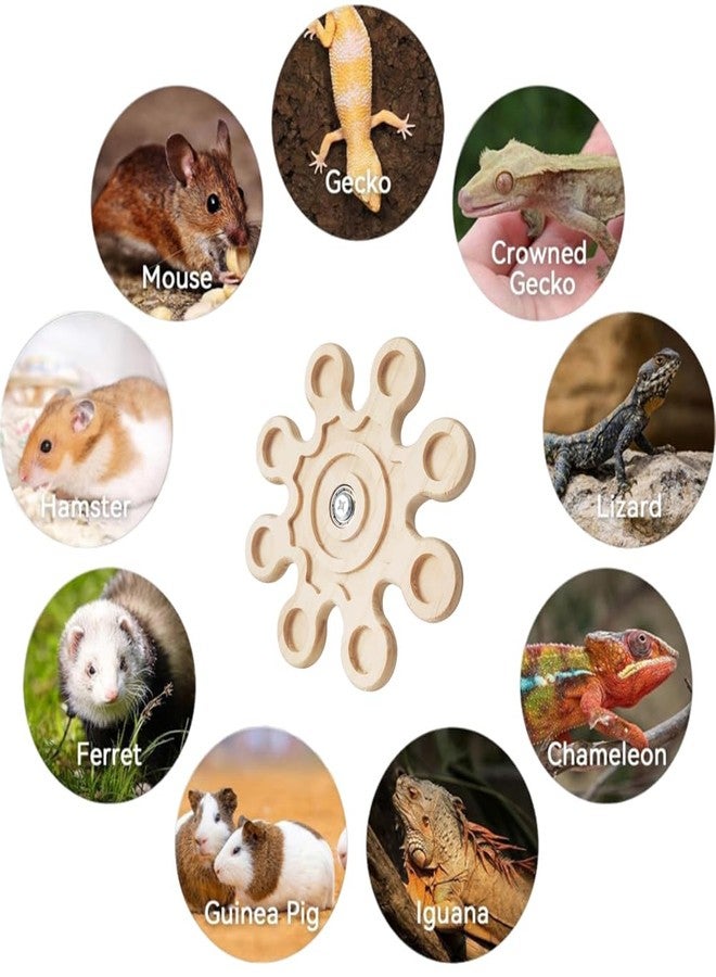 FORZENA Chinchilla Chew Toys Rotating Natural Wood Teeth Grinding Interactive Enrichment Toys Hanging Exercise Wheel for Small Pet Rat Hamster Ferret Bunny Squrriel (Snow) - Image 2
